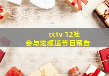 cctv 12社会与法频道节目预告